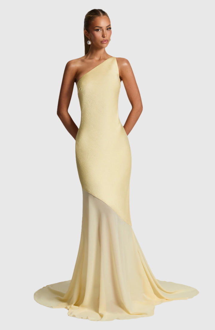 Tycheessa -  One-Shoulder Mesh Gown